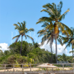 Saint George Apoio de Praia 2