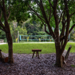 Design sem nome - 2025-04-15T144002.910