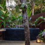 Design sem nome - 2025-05-12T150241.437