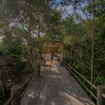 Design sem nome (14)